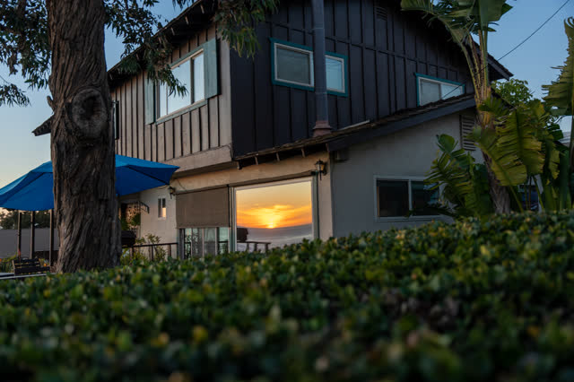 A residential street, palm trees and homes at Sunset Cliffs.