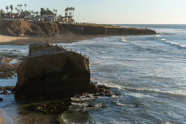 Elevated view of the cliffs, the surf and wildlife at Sunset Cliffs.