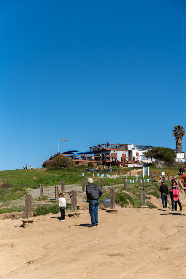 A park, palm trees and the buildings at Torrey Pines, with people walking.