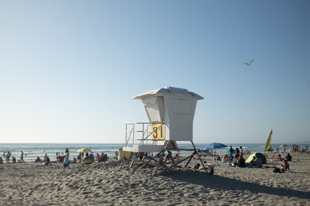 The beach, the surf and wildlife at La Jolla Shores, with a crowd gathered.