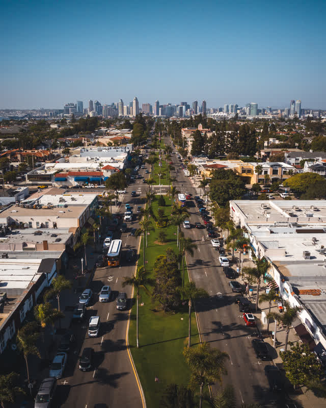 Aerial view of a residential street, the skyline and palm trees in Coronado.