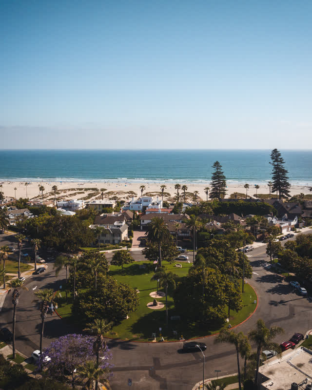 Aerial view of a residential street, palm trees and the ocean in Coronado.