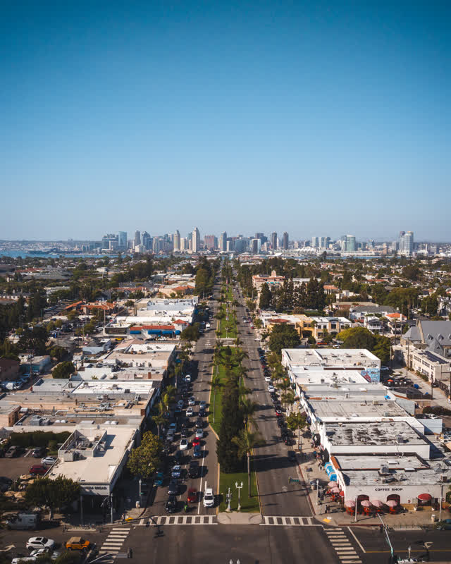 Aerial view of a residential street, the skyline and palm trees in Coronado.