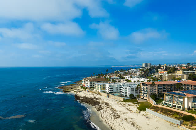 Aerial view of the beach, palm trees and the ocean in La Jolla.