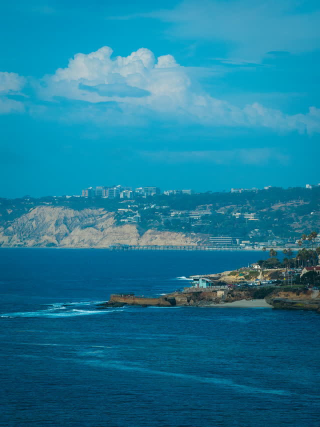 Aerial view of the cliffs, the pier and palm trees at La Jolla Cove.