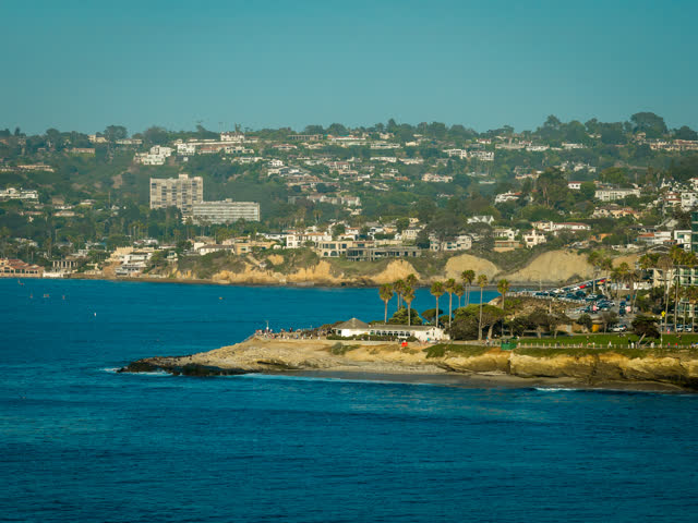 Aerial view of the cliffs, palm trees and the ocean at La Jolla Cove.