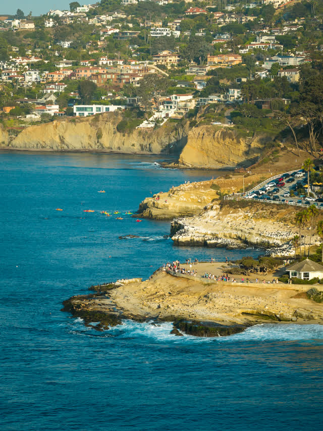 Aerial view of the cliffs, boats and palm trees at La Jolla Cove, with paddlers on the water.