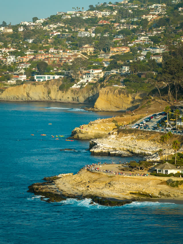 Aerial view of the cliffs, boats and palm trees at La Jolla Cove, with paddlers on the water.