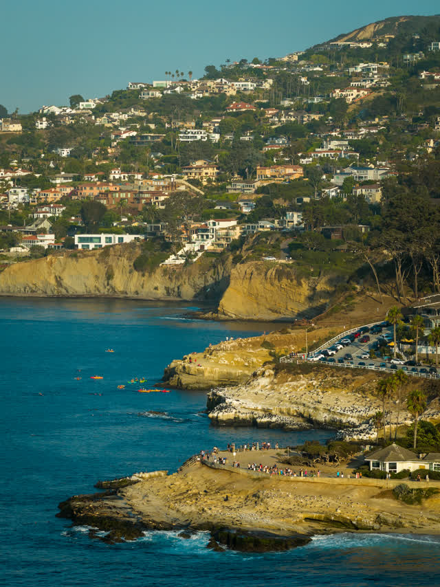 Aerial view of the cliffs, boats and palm trees at La Jolla Cove, with paddlers on the water.