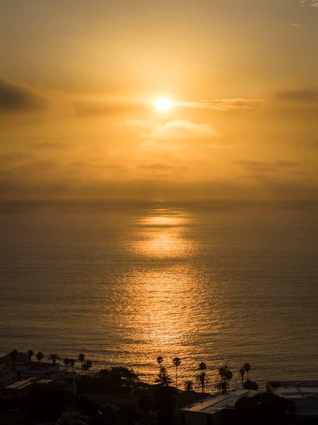Aerial view of the cliffs, palm trees and the ocean at Village of La Jolla.