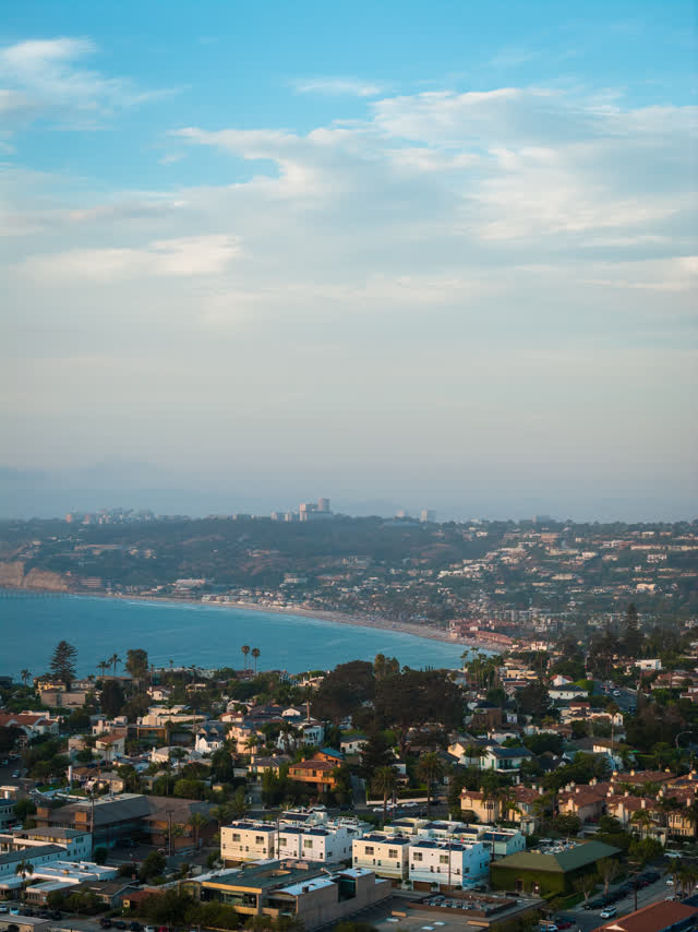 Aerial view of a residential street, palm trees and the ocean at La Jolla Cove.