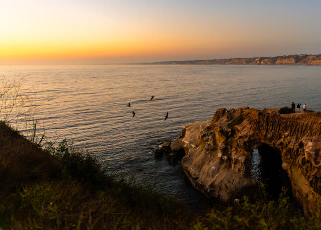 Elevated view of the cliffs, wildlife and the ocean at La Jolla Cove.