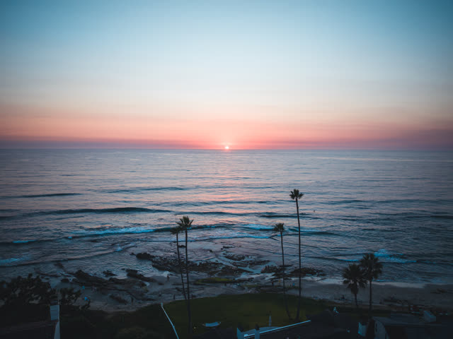 Low aerial view of the beach, the surf and palm trees at Windansea.