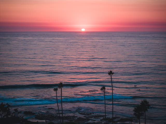 Elevated view of the cliffs, palm trees and the ocean at Windansea.