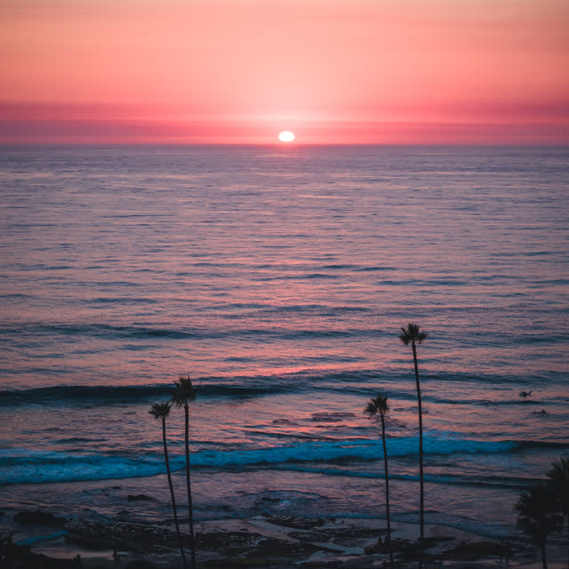 Elevated view of the cliffs, the surf and palm trees at Windansea.