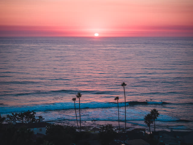 Elevated view of the beach, the surf and palm trees at Windansea, with surfers out.