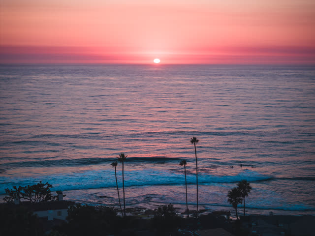 Elevated view of the beach, the surf and palm trees at Windansea, with surfers out.