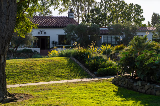A residential street, palm trees and homes at Covenant.