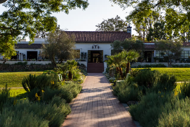 A residential street, palm trees and homes at Covenant.