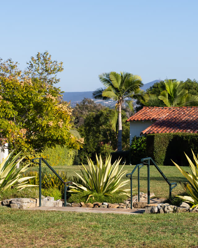A residential street, palm trees and homes at Covenant.