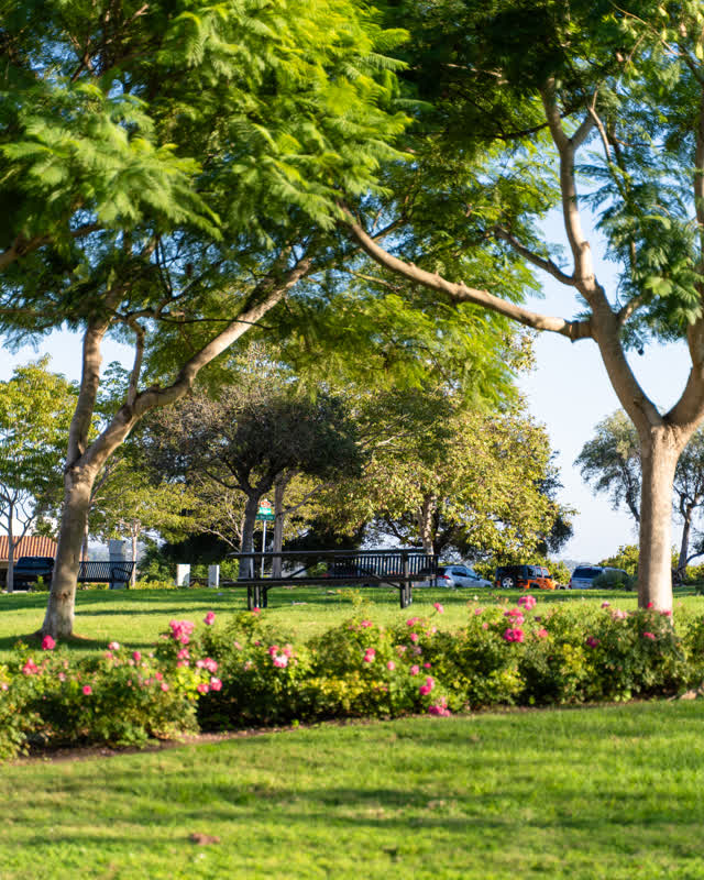 A park, traffic and open country at Covenant.