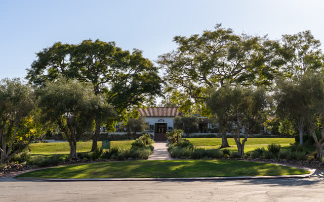 A residential street, palm trees and homes at Covenant.