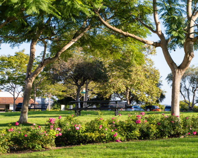 A park, traffic and open country at Covenant.