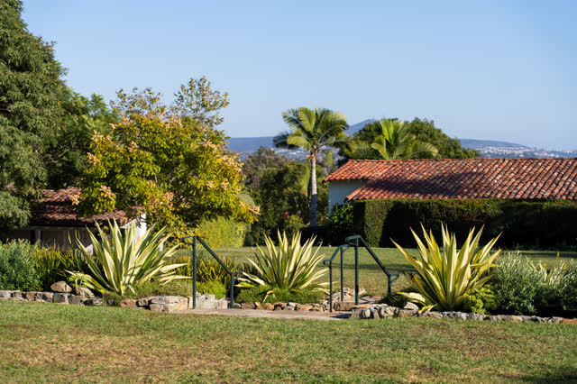 A residential street, palm trees and homes at Covenant.