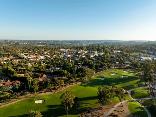 Aerial view of a residential street, palm trees and homes at Covenant.