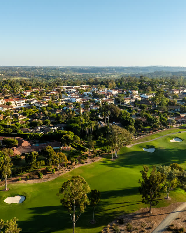 Aerial view of a residential street, palm trees and homes at Covenant.