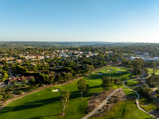 Aerial view of a residential street, palm trees and homes at Covenant.