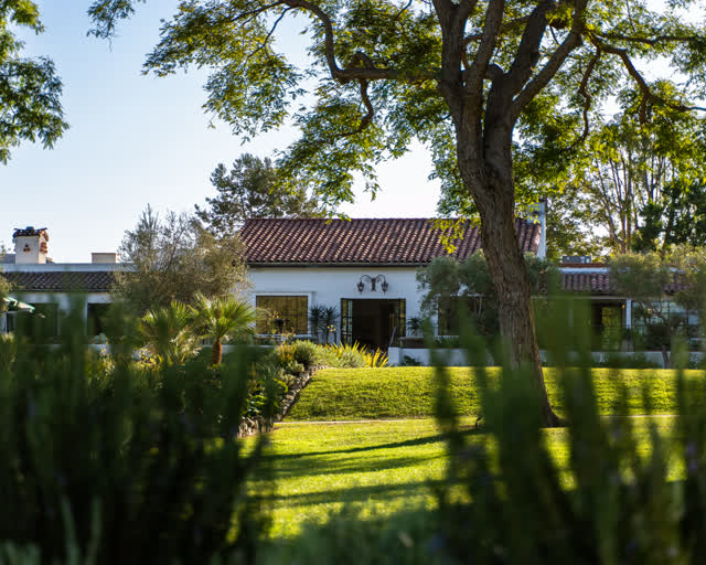 A residential street, palm trees and homes at Covenant.