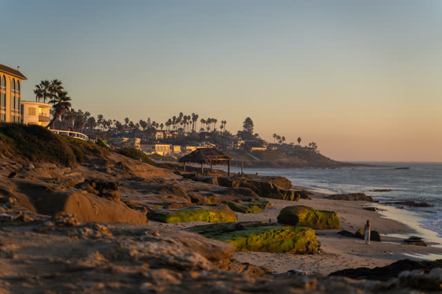 The beach, palm trees and the ocean at Windansea, with people walking.