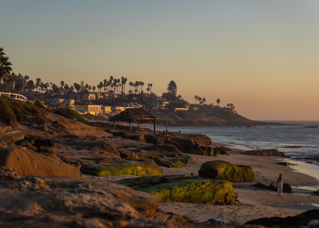 Elevated view of the cliffs, palm trees and the ocean at Windansea, with people walking.