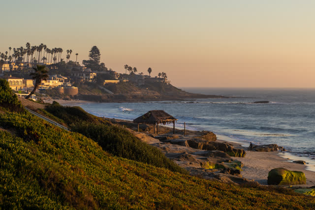 Elevated view of the beach, the surf and palm trees at Windansea, with people walking.