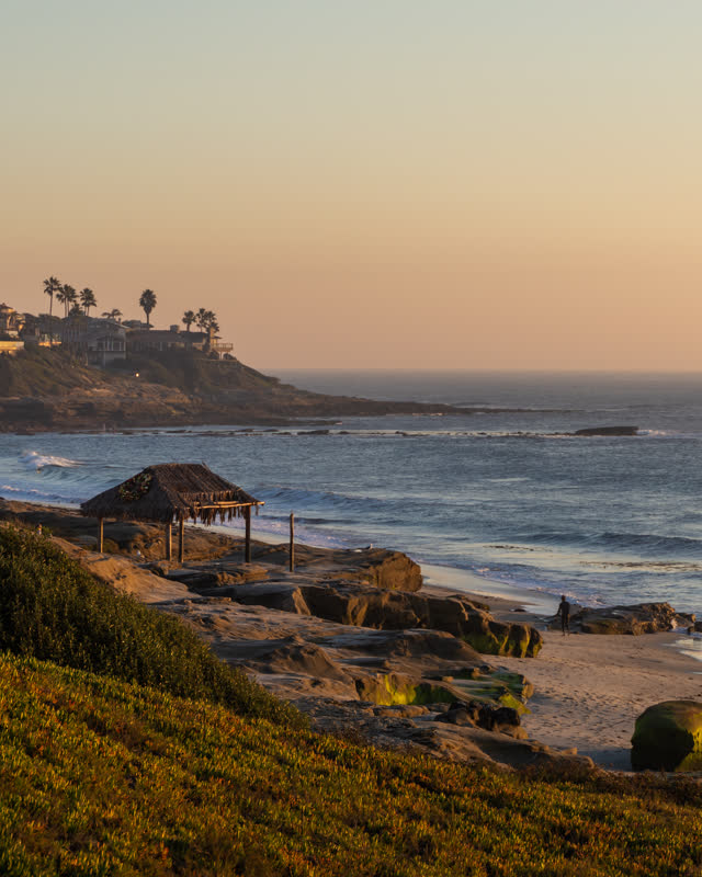 Elevated view of the beach, the surf and palm trees at Windansea, with people walking.