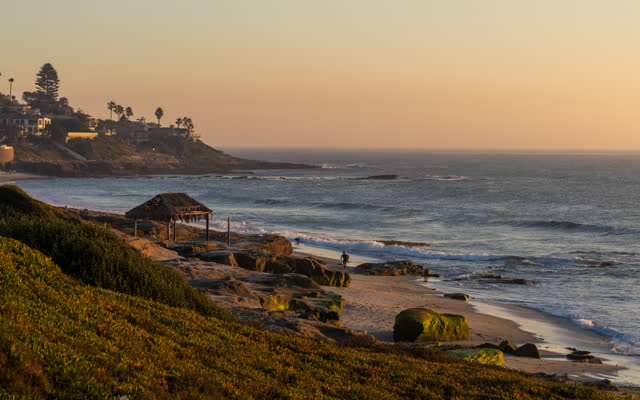 Elevated view of the beach, the surf and palm trees at Windansea, with people walking.