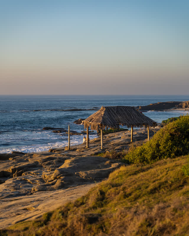 Elevated view of the cliffs, the surf and the ocean at Windansea.