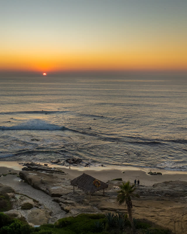 Aerial view of the beach, the surf and palm trees at Windansea, with surfers out.