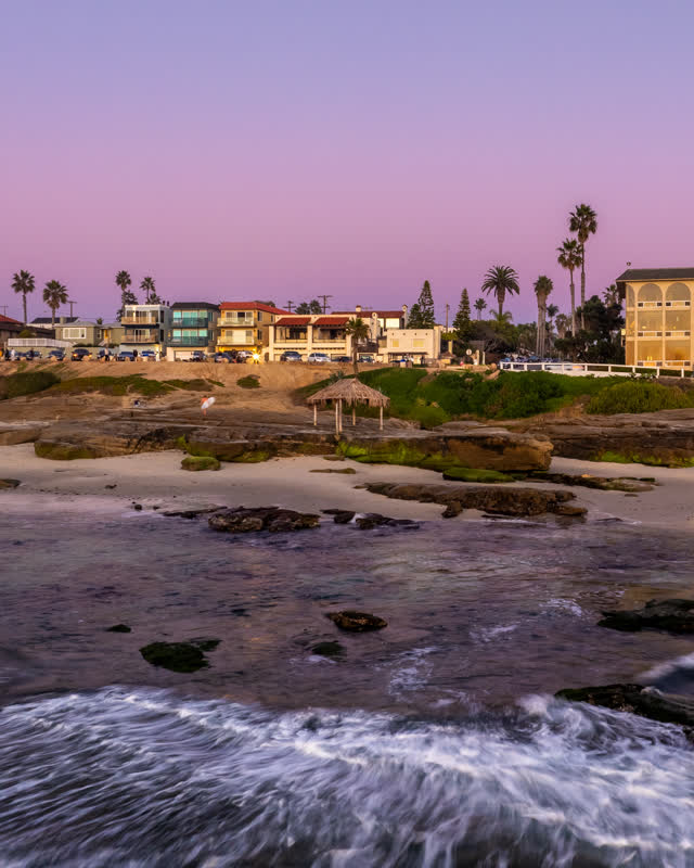 The beach, the surf and palm trees at Windansea.