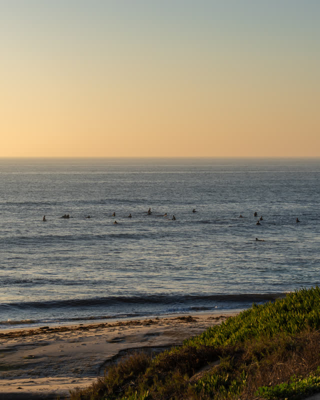 Elevated view of the beach, the surf and the ocean at Windansea, with surfers out.
