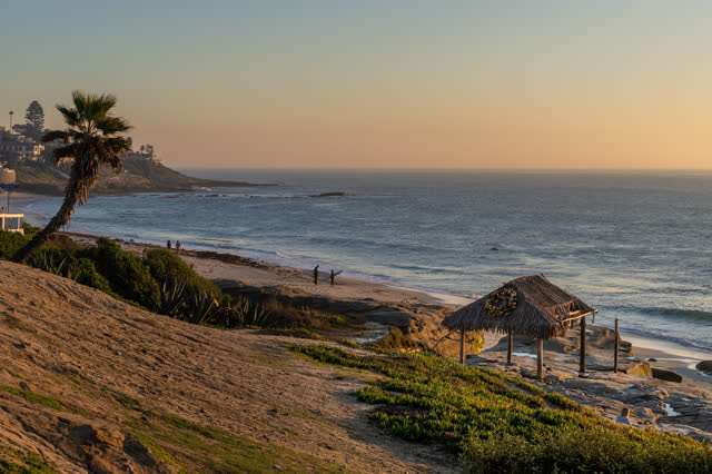 Elevated view of the beach, the surf and palm trees at Windansea, with people walking.
