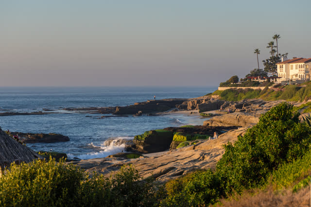 Elevated view of the cliffs, the surf and palm trees at Windansea, with people walking.