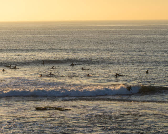 Elevated view of the beach, the surf and the ocean at Windansea, with surfers out.