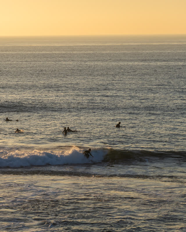 Elevated view of the beach, the surf and the ocean at Windansea, with surfers out.