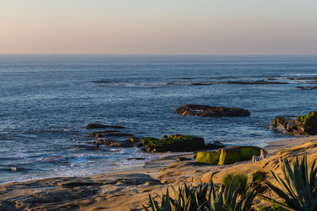 Elevated view of the cliffs, the ocean and the beach at Windansea.
