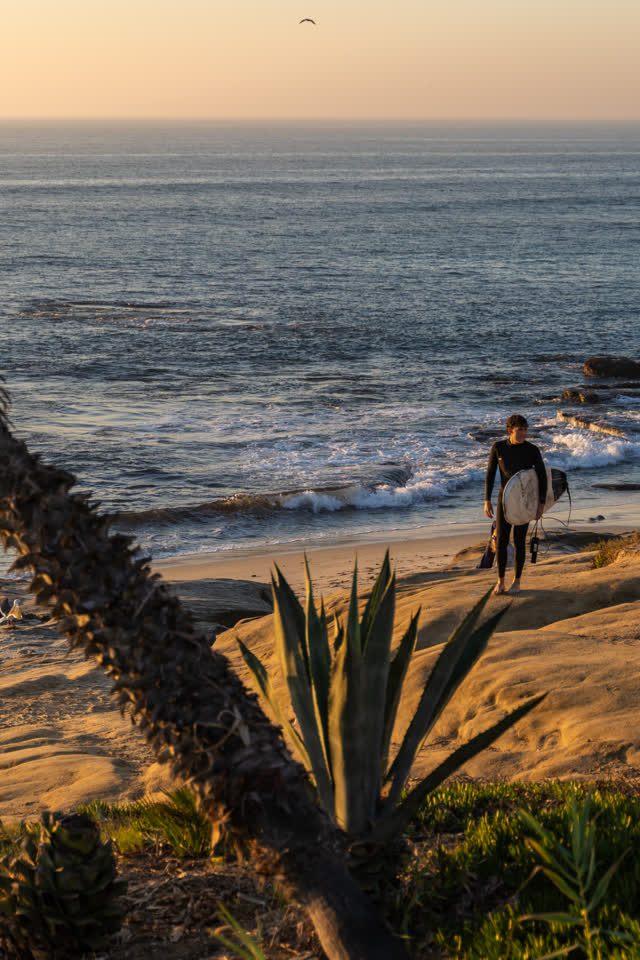Elevated view of the beach, the surf and the ocean at Windansea, with surfers out.
