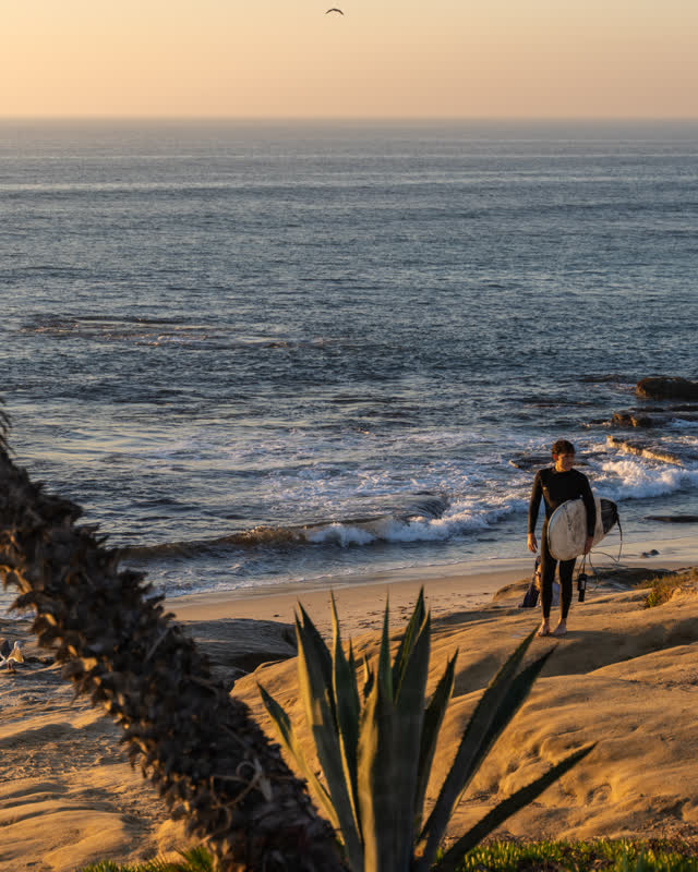 Elevated view of the beach, the surf and the ocean at Windansea, with people walking.