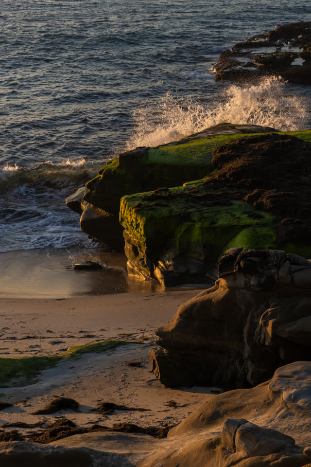 Elevated view of the cliffs, the surf and the ocean at Windansea.