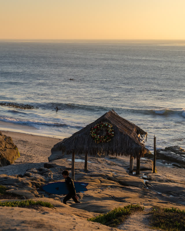 Elevated view of the beach, the surf and the ocean at Windansea, with surfers out.